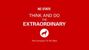 Think and Do the Extraordinary Campaign banner