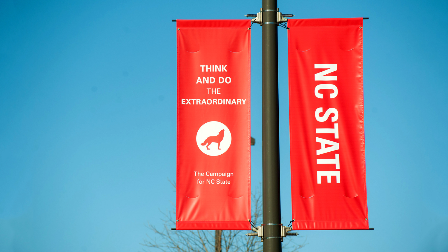 image of think and do banners