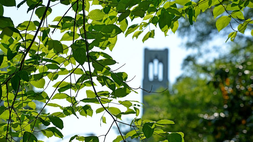 belltower through branches
