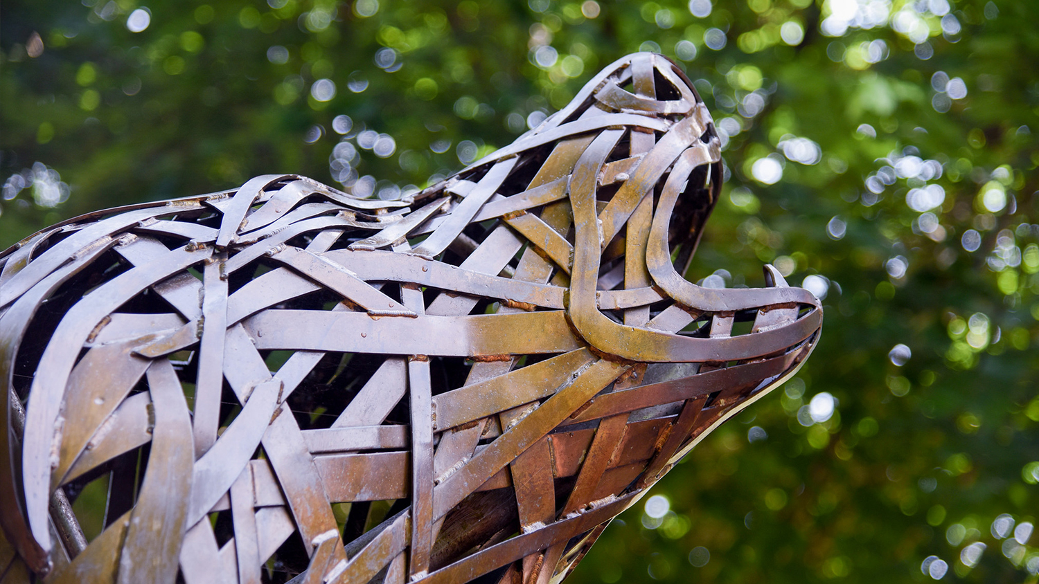 Howling wolf statue on NC State's campus
