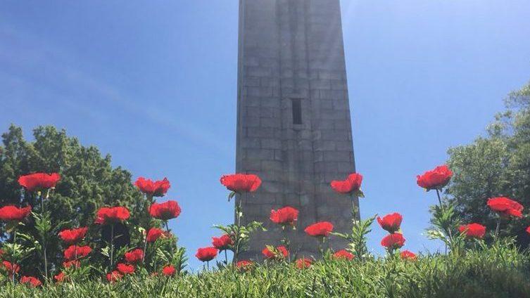 belltower with poppies