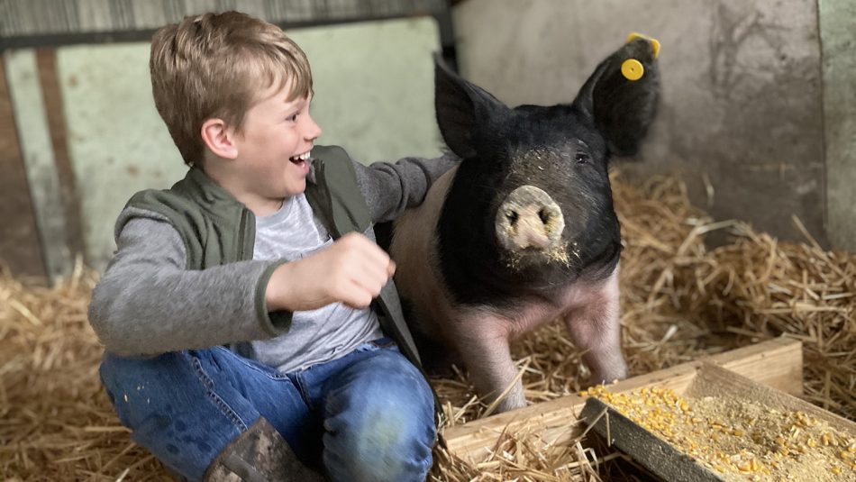 a young boy sitting in hay with his pig