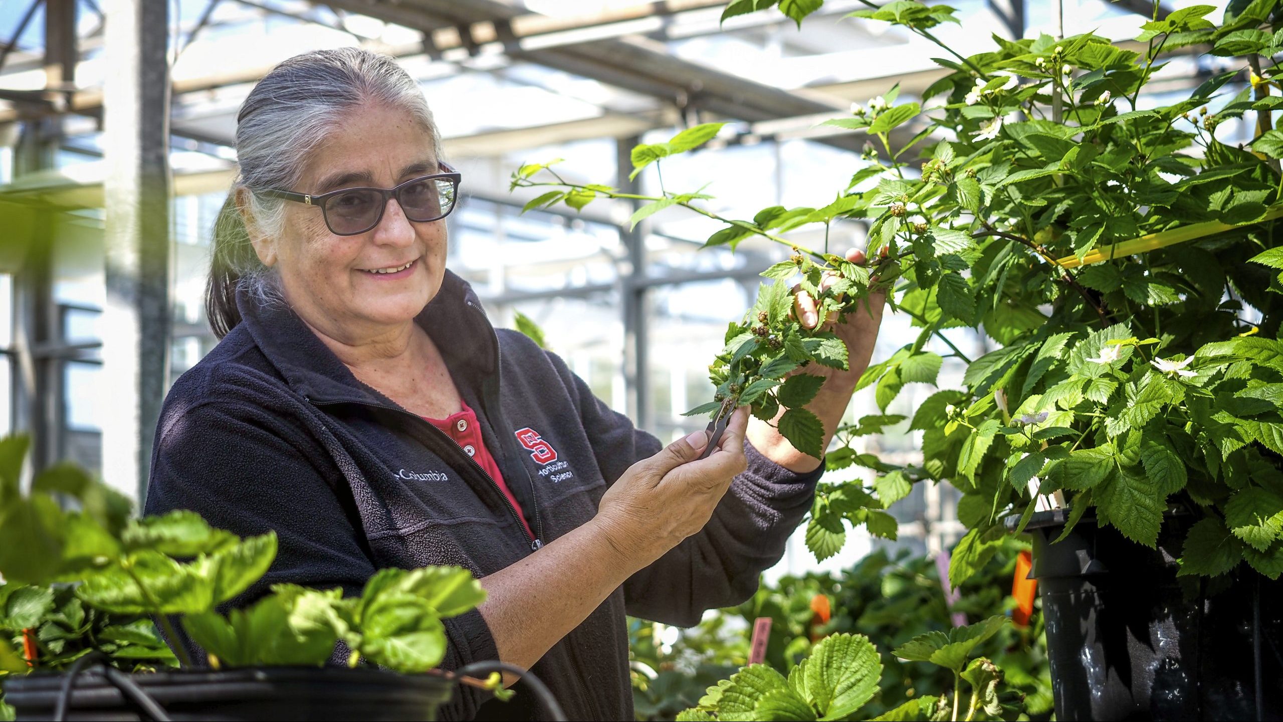 Gina Fernandez with berry plants in a greenhouse