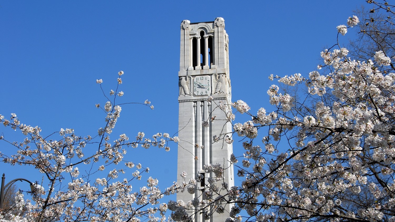 Image of the belltower in the spring