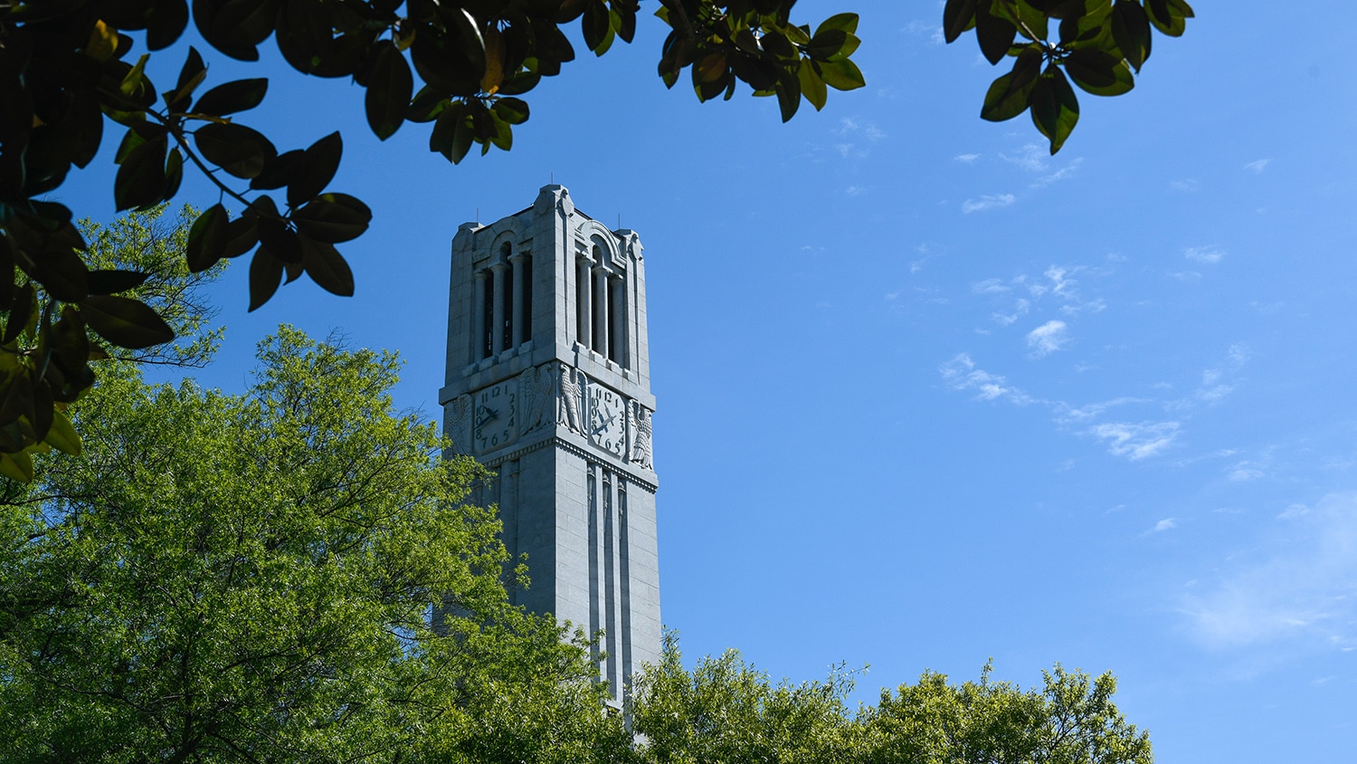 the memorial belltower standing behind trees