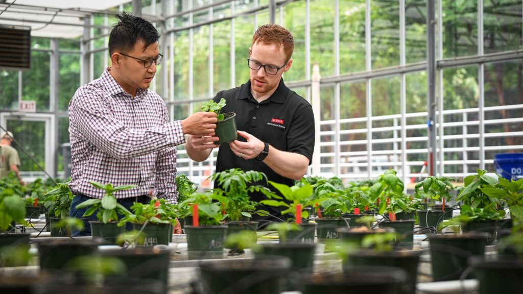 a professor working with a graduate student in a greenhouse